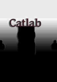 Cat Lab