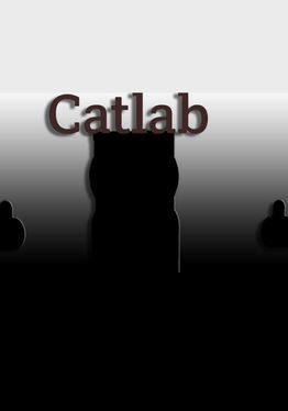 Cat Lab