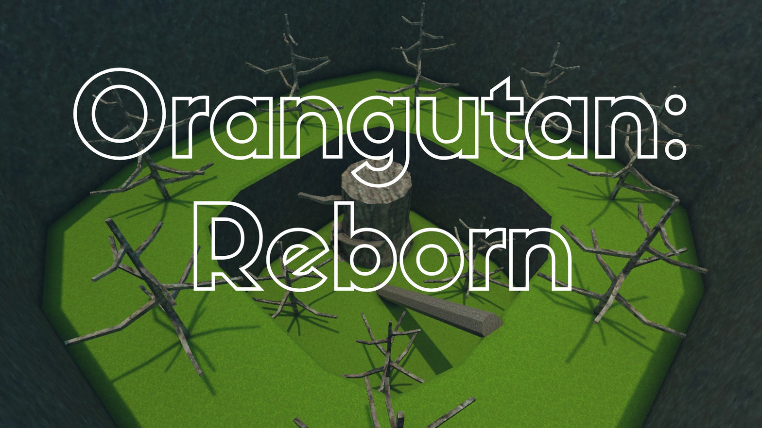 Orangutan: Reborn