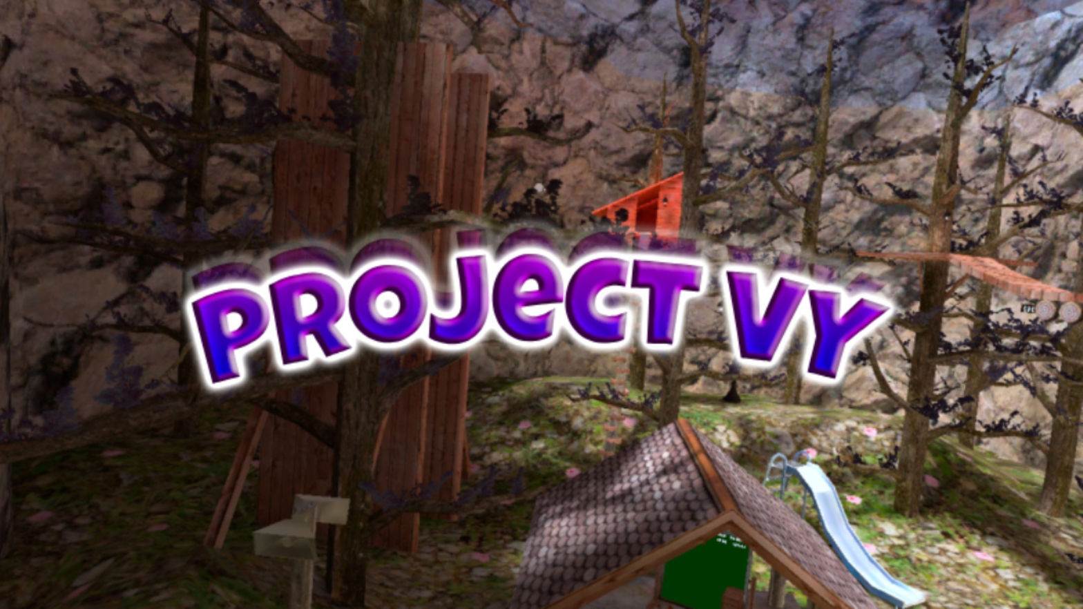 Project VY