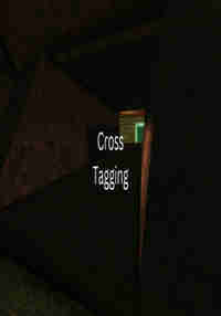 CrossTagging
