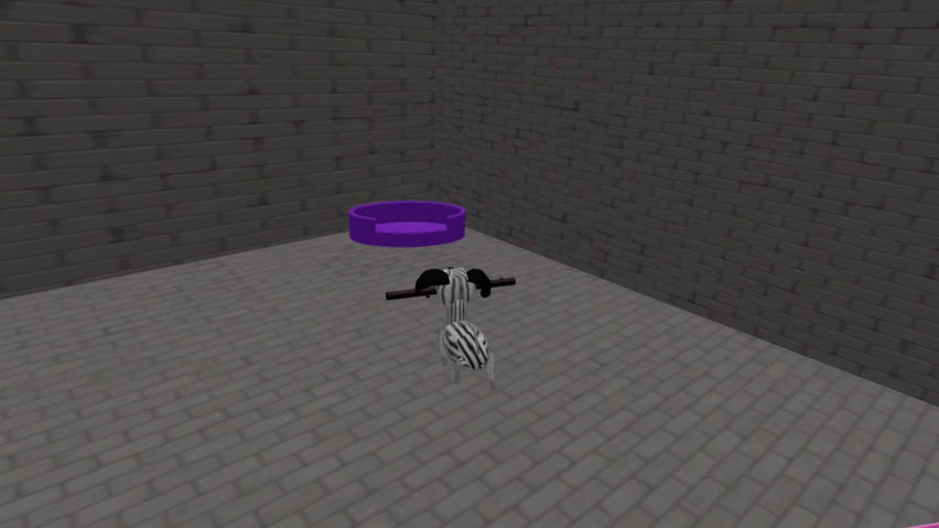 Pet Sim