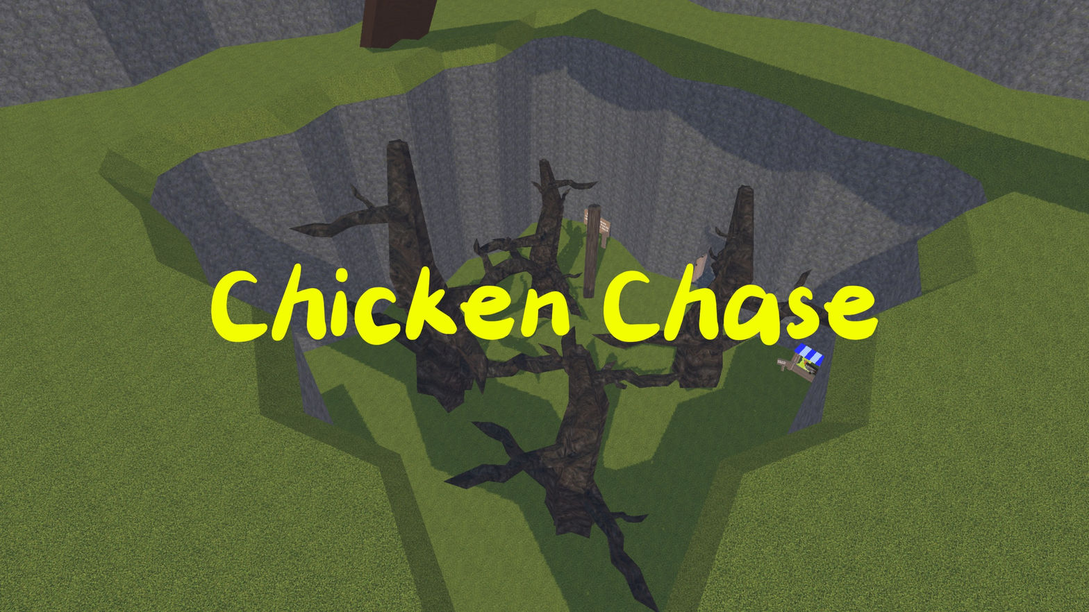 Chicken Chase