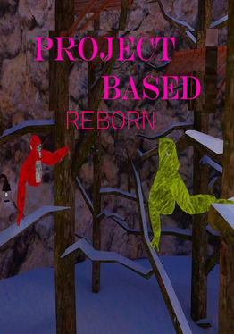 Project Based Reborn