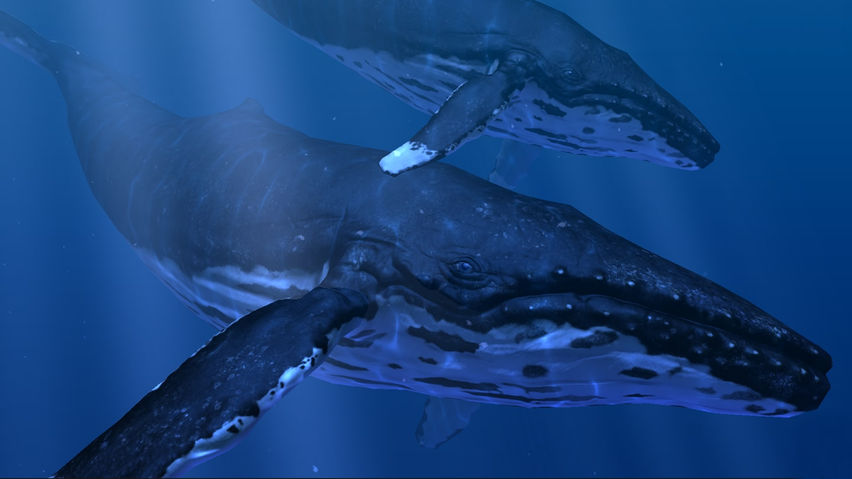 Ocean Rift (Go)