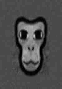 Monkey Monk V5