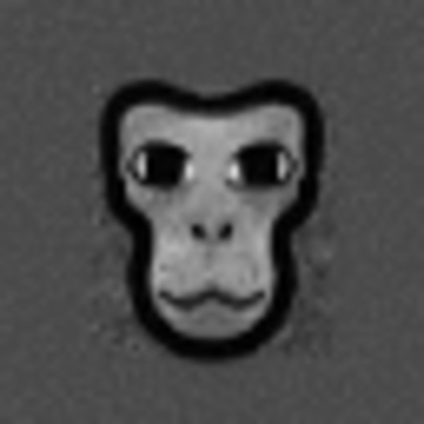 Monkey Monk V5