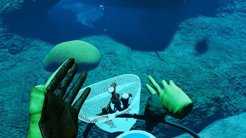 How to Rescue a Reef LITE