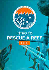 How to Rescue a Reef LITE
