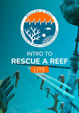 How to Rescue a Reef LITE