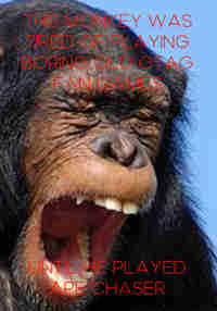 Ape Chaser