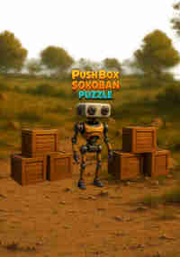 Push Box Sokoban Puzzle