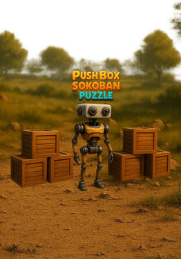 Push Box Sokoban Puzzle