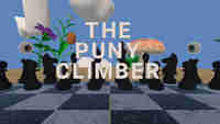 The Puny Climber