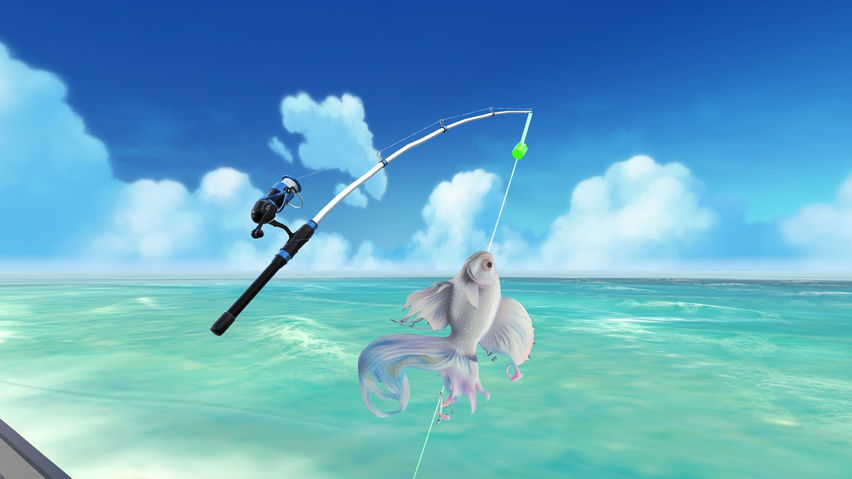 Fishing and Aquarium