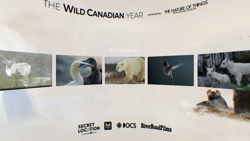The Wild Canadian Year