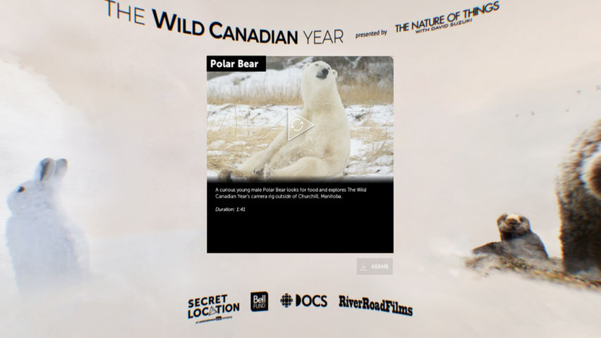 The Wild Canadian Year