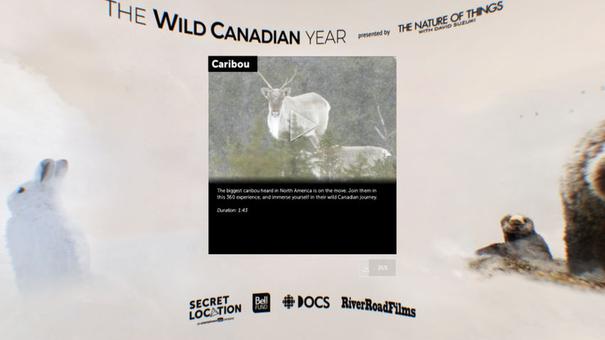 The Wild Canadian Year