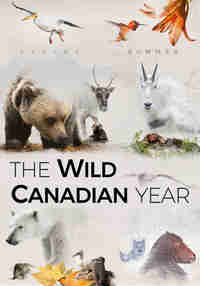 The Wild Canadian Year