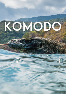 Komodo