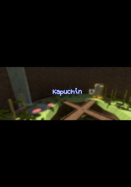 Kapuchin