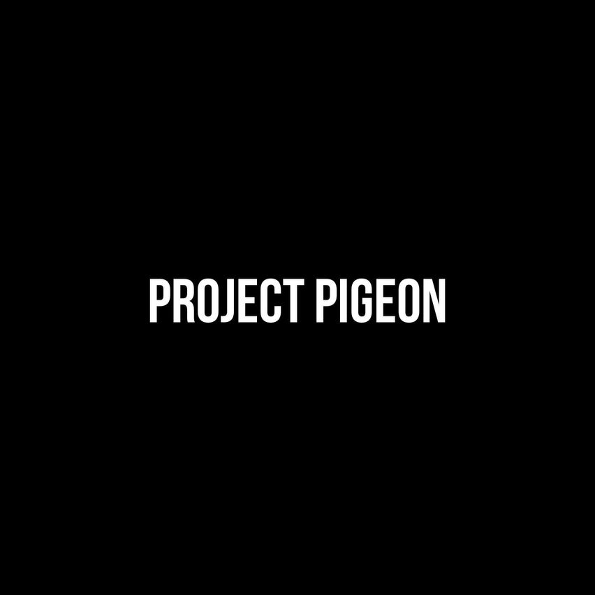 Project Pigeon