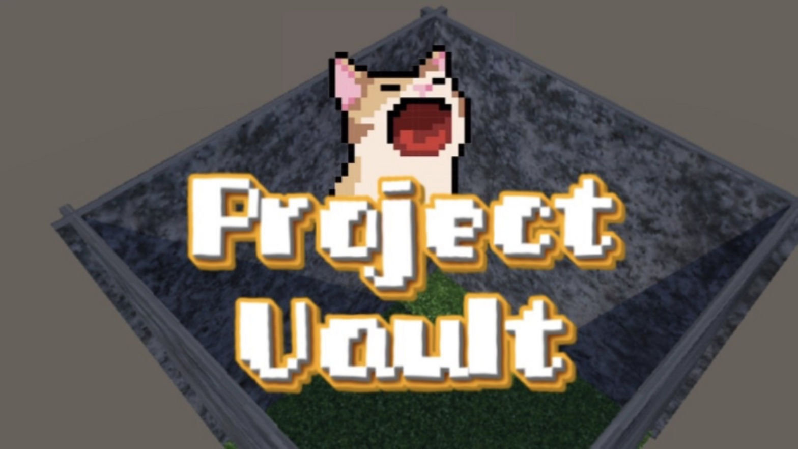 Project Vault