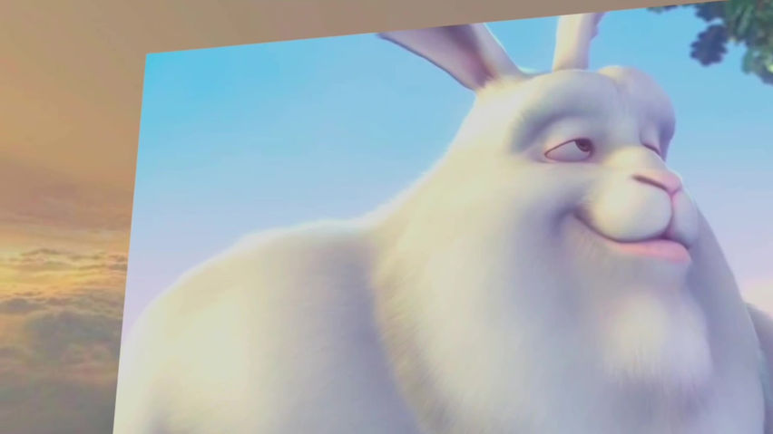 Free the Animation