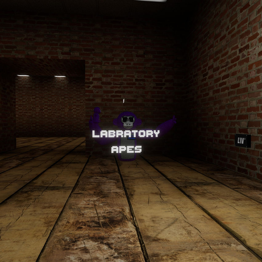 Labratory Apes