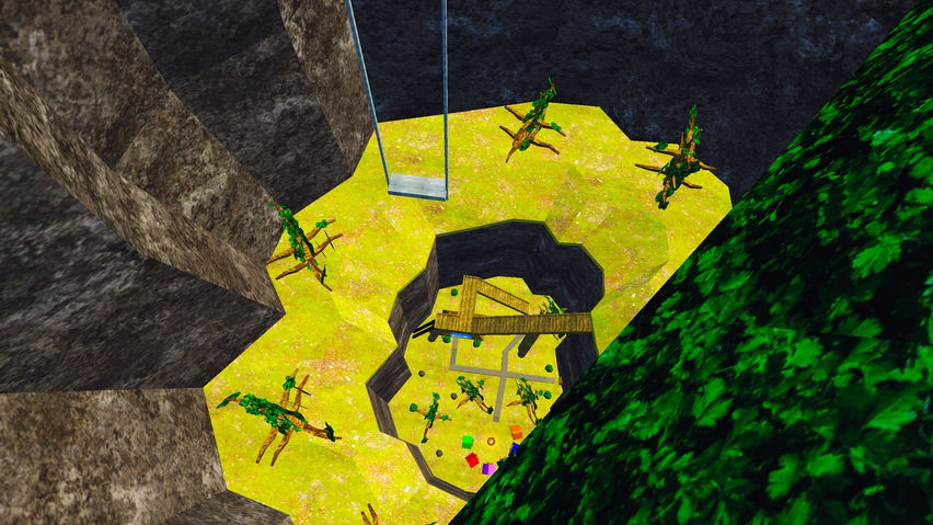 Monkey Pursuit (Discontinued)