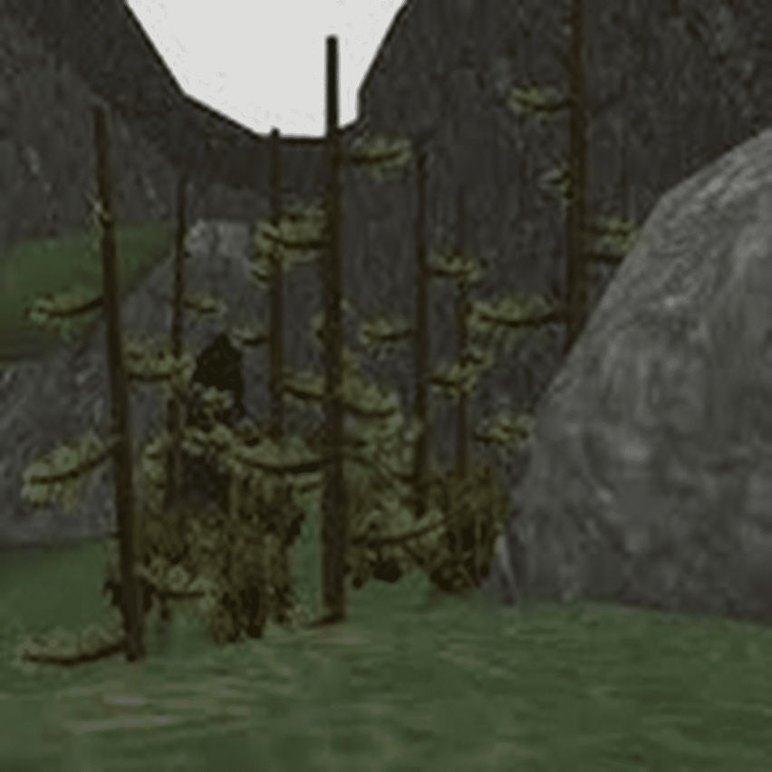 Forest Tag