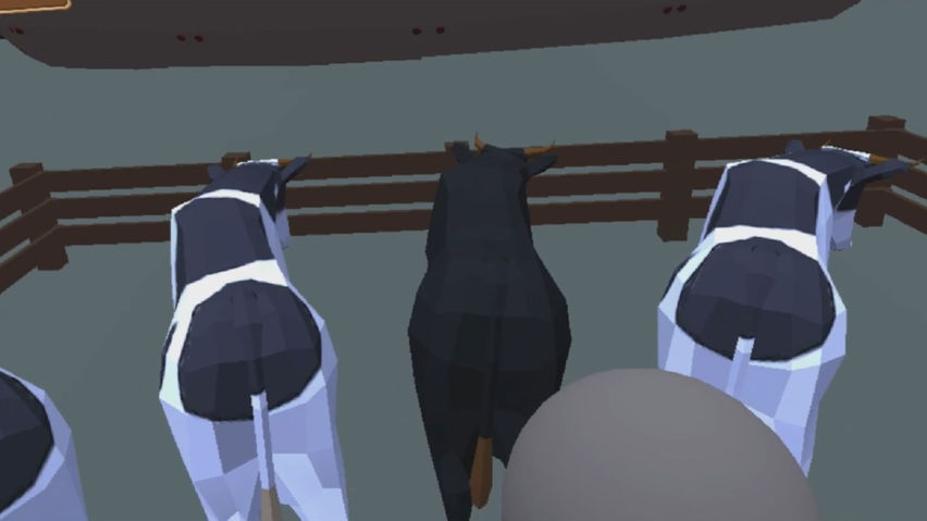 Noah's Animal Toss