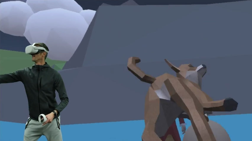 Noah's Animal Toss