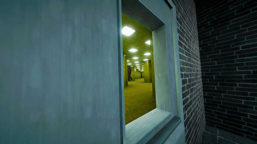 TD Capuchin 2