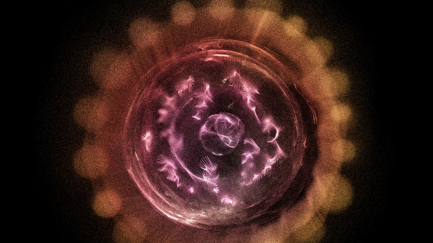 Cosmic Sugar