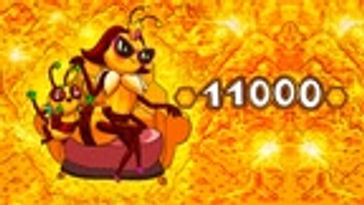 Extra Large Queen Coin Pack