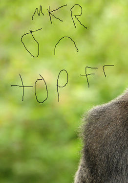 Monkey Runners ZONE