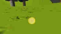Lemon Badge