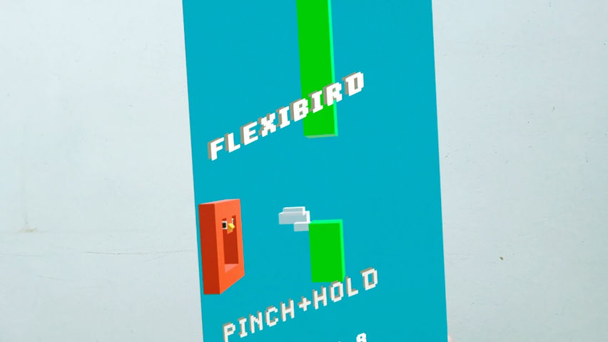Flexibird
