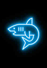 Into The Deep