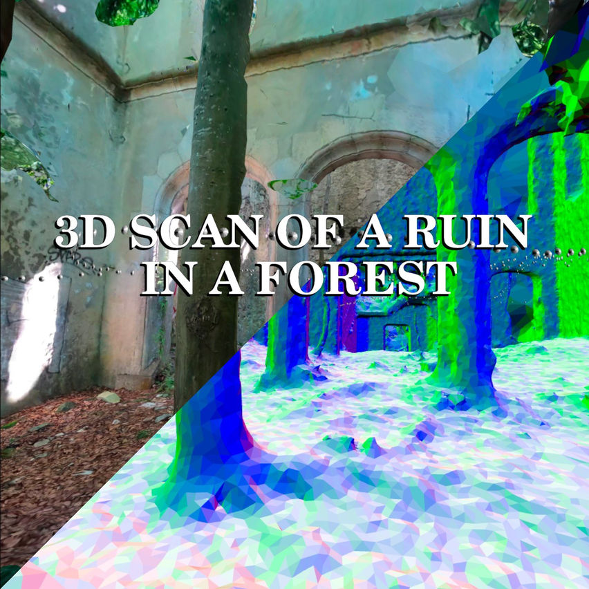 3D scan of a ruin in a forest