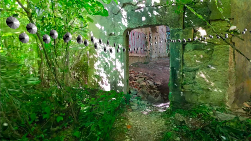 3D scan of a ruin in a forest