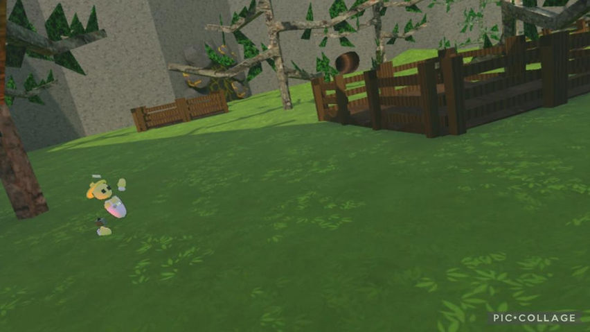 Fruit Pickers
