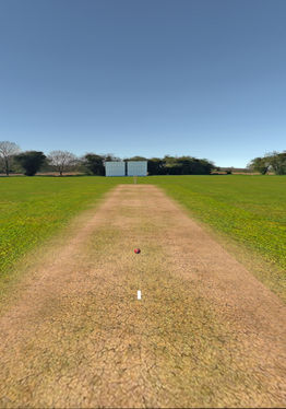 Cricket VR