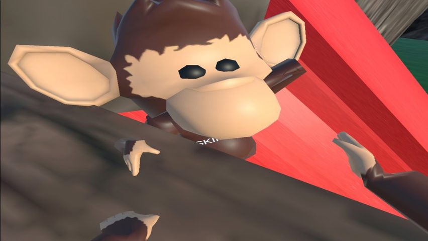 Orphan Monkey