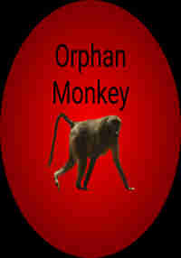 Orphan Monkey