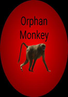 Orphan Monkey