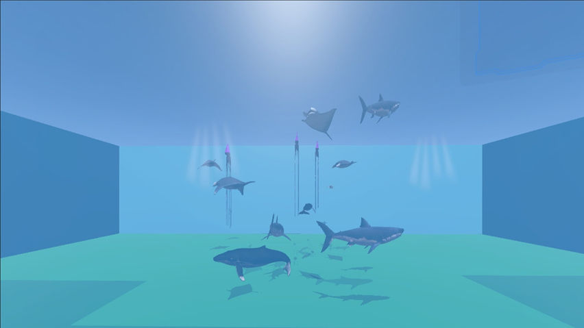 Aqua Adventure Aquarium