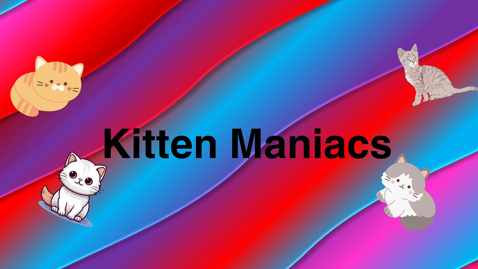 Kitten Maniacs