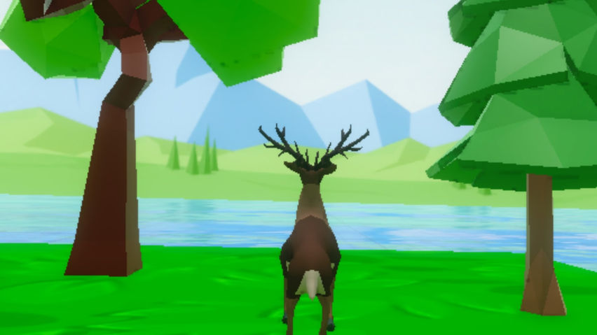 Paradise Island VR
